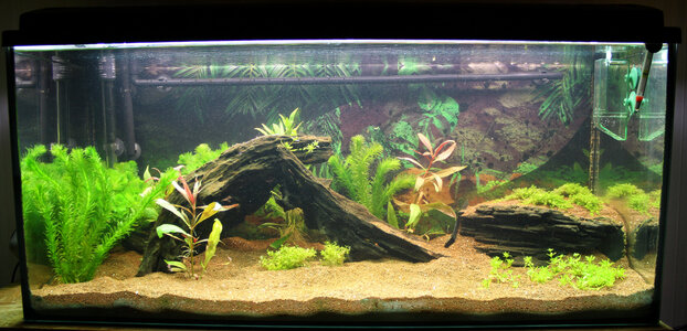Aquarium2.jpg
