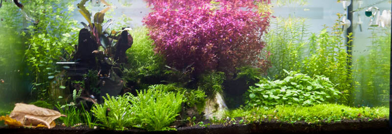 _1090829_800.jpg