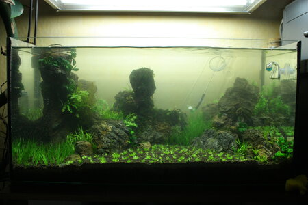2013-05-14 16.36.06.jpg