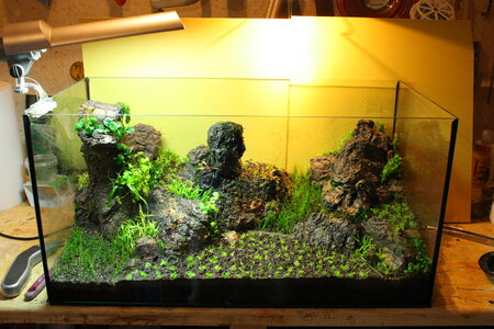 2013-05-14 13.46.55.jpg