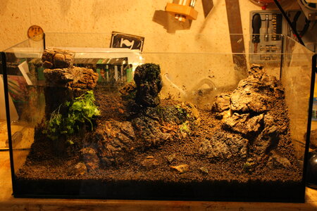 2013-05-13 15.59.44.jpg