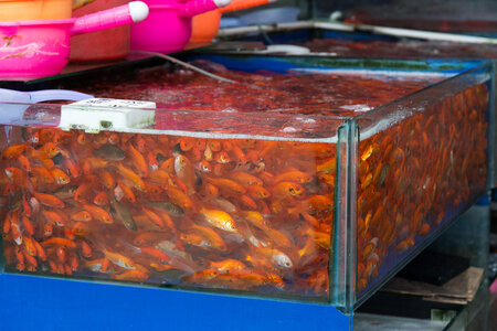 20130508-001.jpg