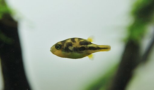 IMG_9358.JPG