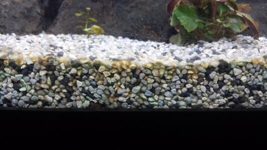 20130726_101700.jpg
