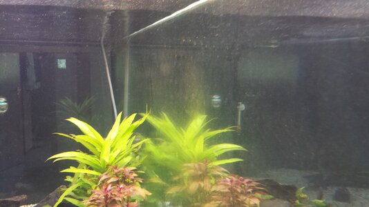 20130726_101740.jpg