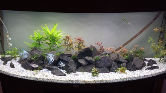 20130726_110716.jpg