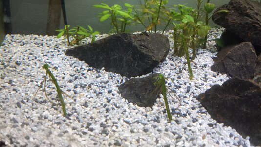 20130726_111540.jpg