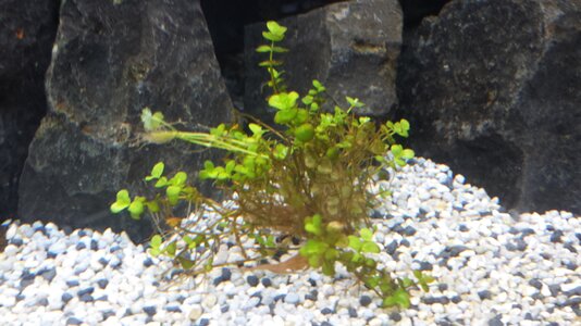 20130726_111046.jpg