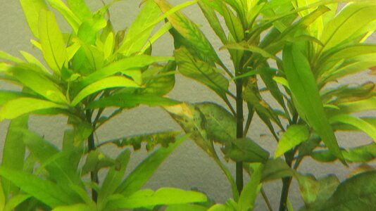 20130726_111017.jpg