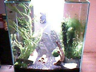 Picture 3.jpg