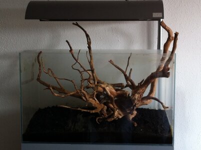 Foto 1.JPG