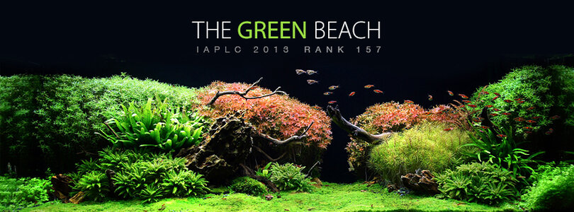 the_green_beach.jpg