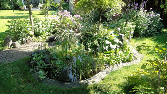 DSC01505.JPG