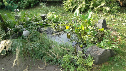DSC01510.JPG