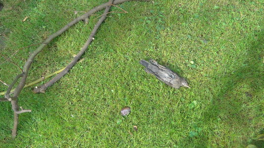 DSC01516.JPG