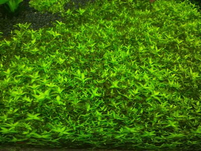 20130830_160817.jpg