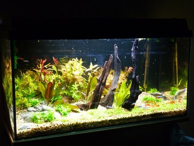 P1000370_.jpg