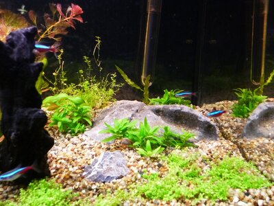P1000373_.jpg
