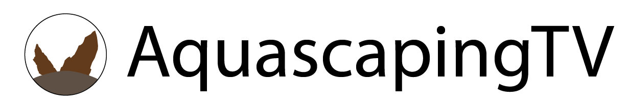 Version 1.png