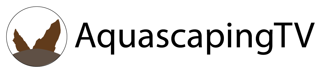 Version 2.png