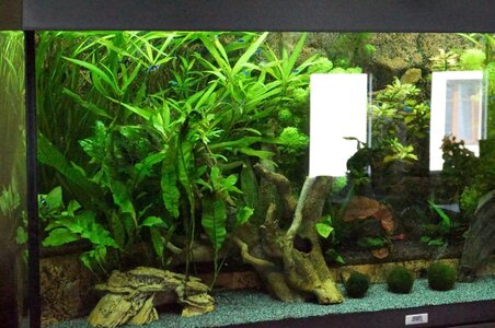 DSC01144 (Medium).JPG