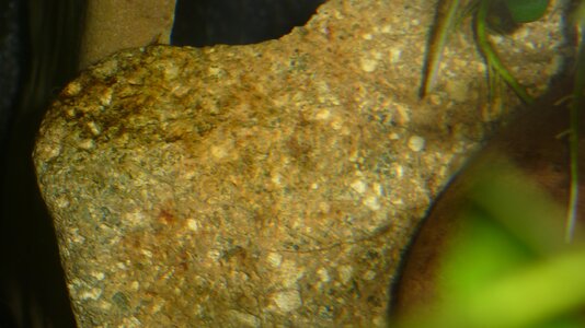 P1010075.JPG