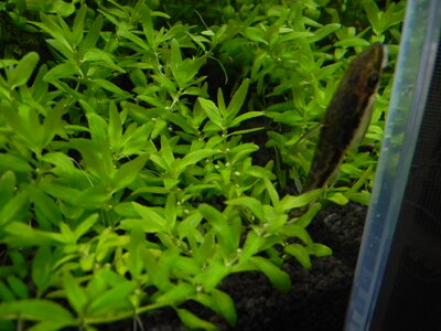 DSCN3079.JPG