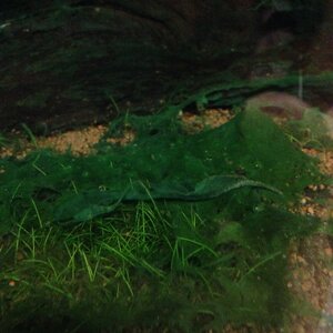 Foto 3.JPG