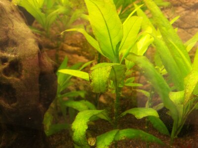 20130922_184207.jpg