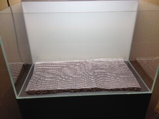Foto 4.JPG