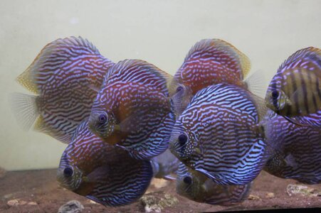 JataCui_01-10-2013_Bild_04.jpg