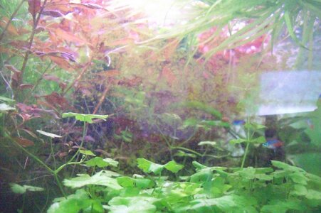 100_2885.JPG