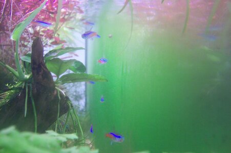 100_2888.JPG