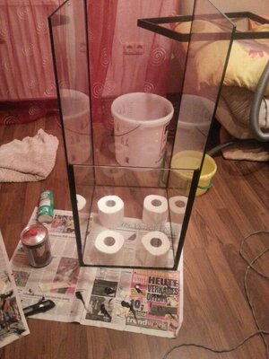 IMG-20131017-WA0000.jpg