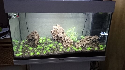 aquarium1.jpg