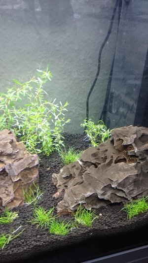Aquarium 2.jpg