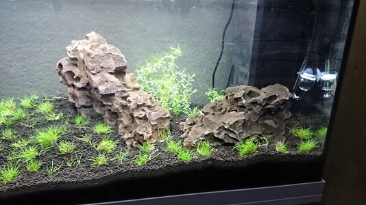 Aquarium 3.jpg