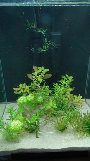 DSC01644.JPG