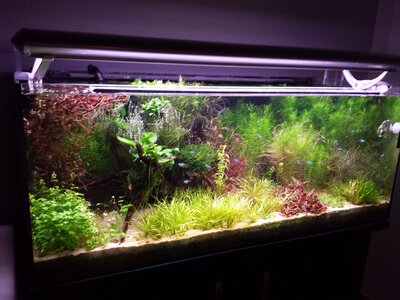 20131027_194018.jpg
