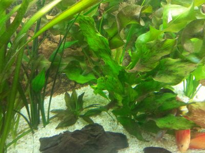 20131028_115607_2.jpg