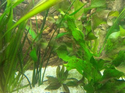 20131028_115619_1.jpg