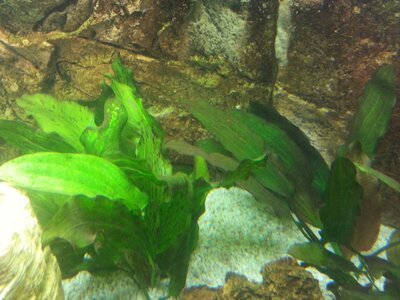 20131028_115636_1.jpg