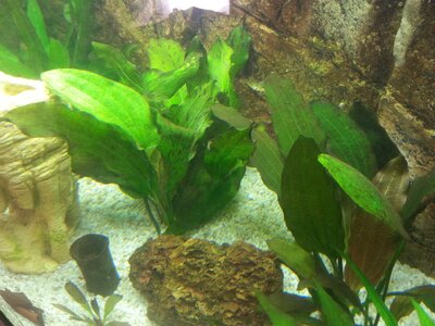 20131028_115652_1.jpg