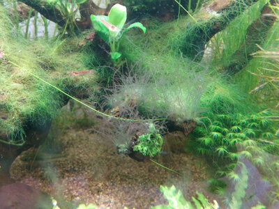 IMG_20131108_132419.jpg