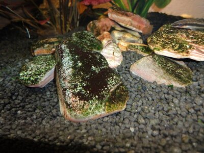 DSC00001 (Small).JPG