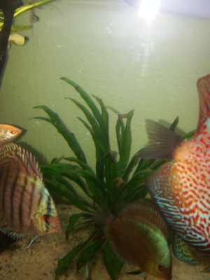2013-11-13 06.35.31.png