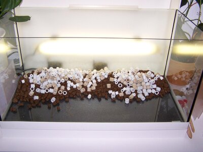 103_0374 - Kopie.JPG