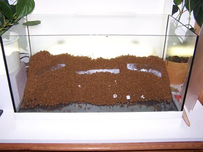 103_0376 - Kopie.JPG