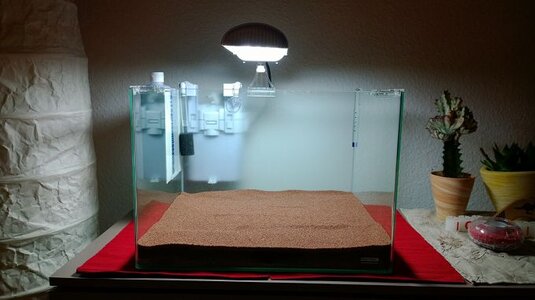 k-WP_20131120_003.jpg
