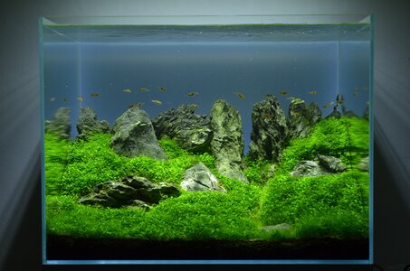 image(15)a.jpg